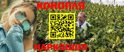 стаф Краснокаменск