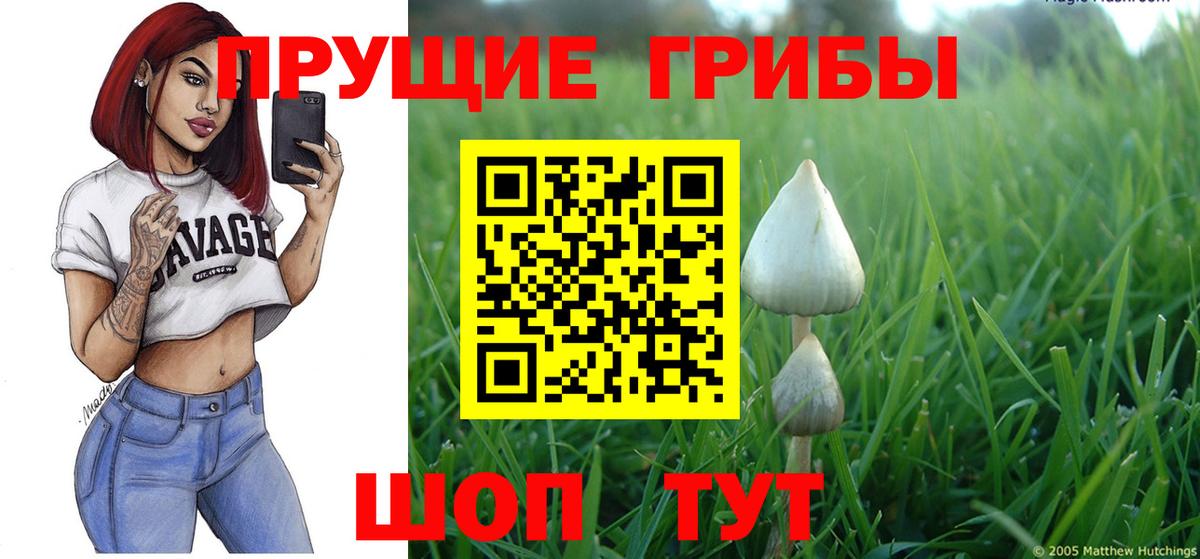 Псилоцибиновые грибы мицелий Ивантеевка